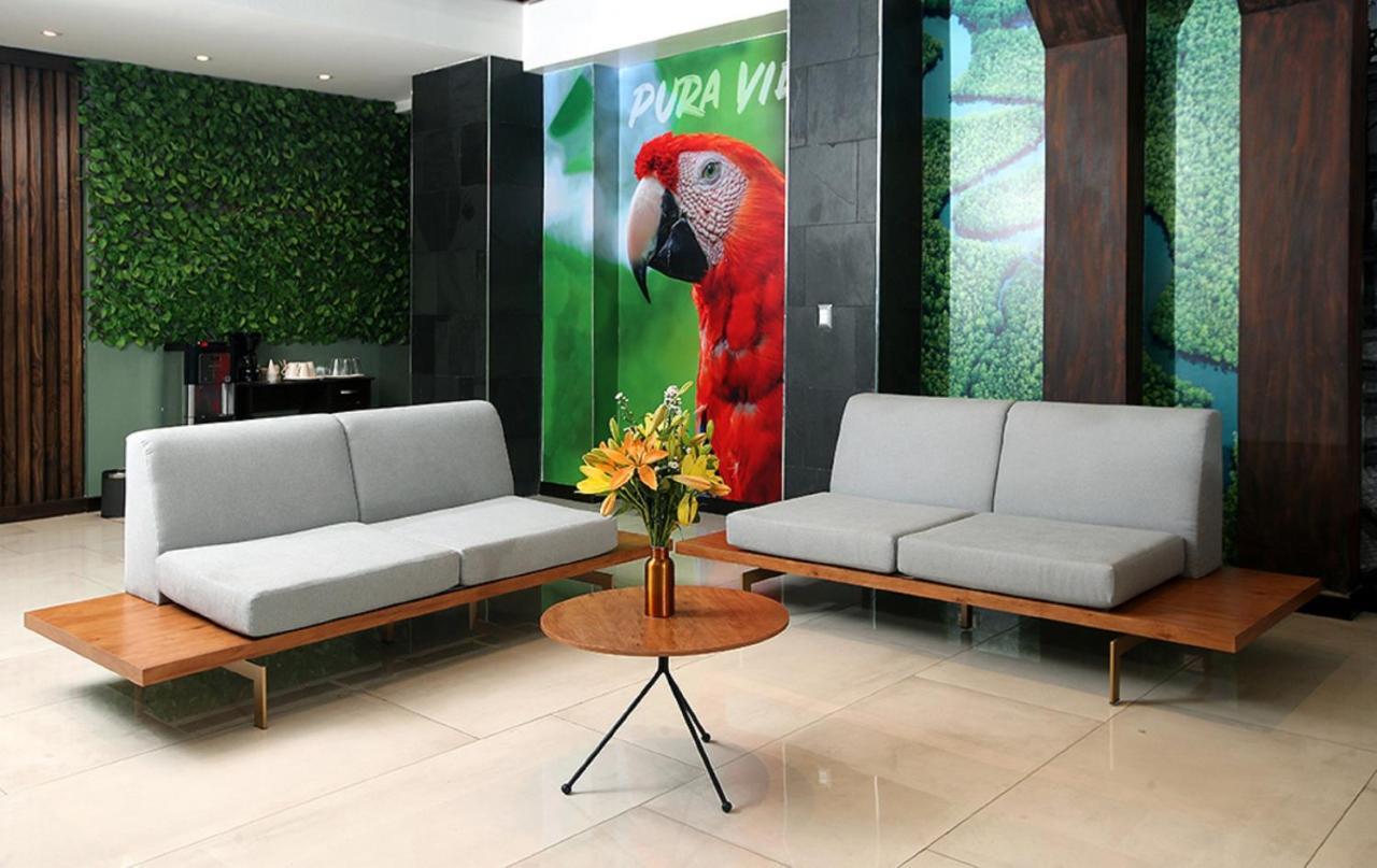 Hotel Cultura Plaza 聖荷西 外观 照片